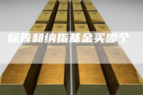 标普和纳指基金买哪个