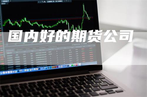 国内好的期货公司