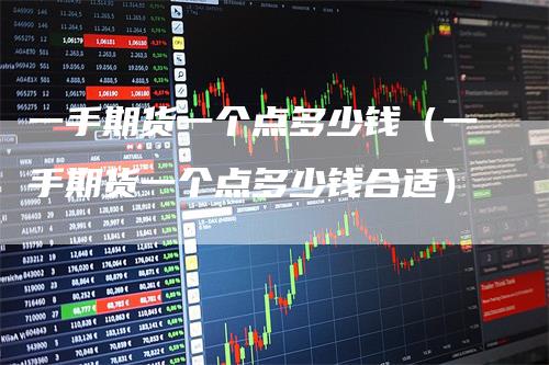 一手期货一个点多少钱(一手期货一个点多少钱合适)