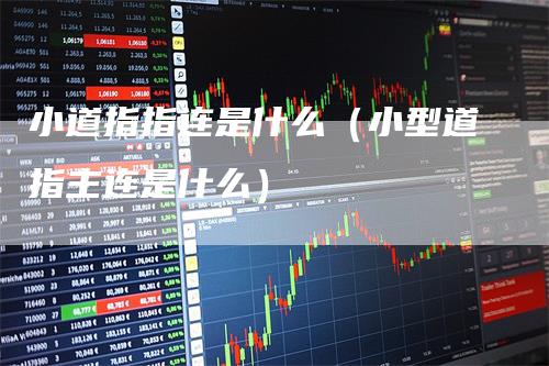 小道指指连是什么（小型道指主连是什么）