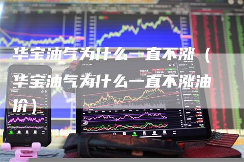 华宝油气为什么一直不涨(华宝油气为什么一直不涨油价)