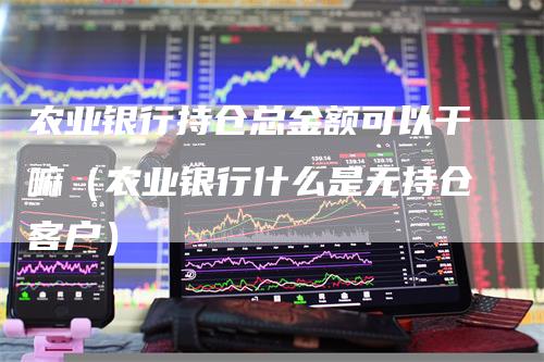 农业银行持仓总金额可以干嘛(农业银行什么是无持仓客户)