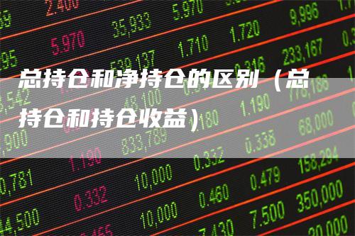 总持仓和净持仓的区别（总持仓和持仓收益）