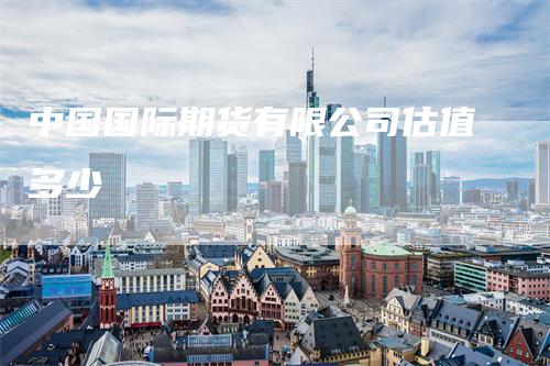 中国国际期货有限公司估值多少