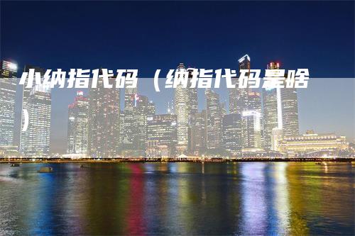 小纳指代码（纳指代码是啥）