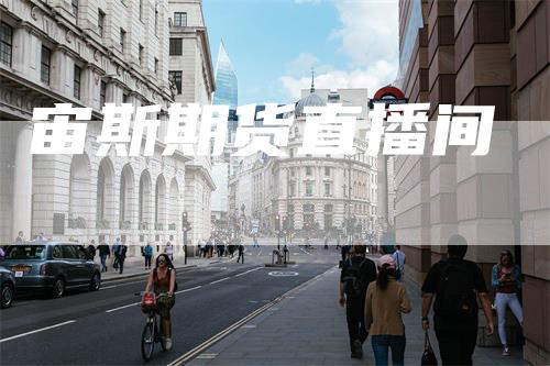 宙斯期货直播间