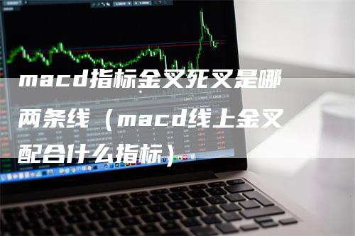 macd指标金叉死叉是哪两条线（macd线上金叉配合什么指标）