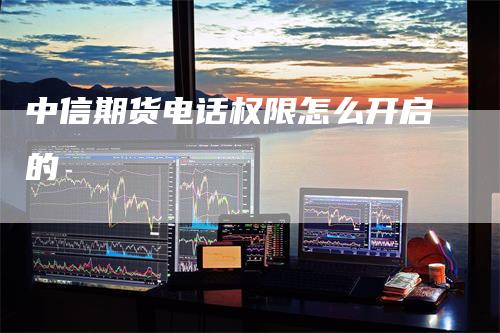 中信期货电话权限怎么开启的