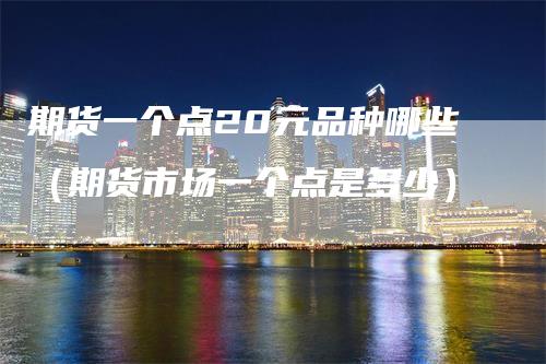 期货一个点20元品种哪些(期货市场一个点是多少)