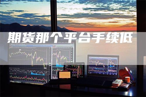 期货那个平台手续低