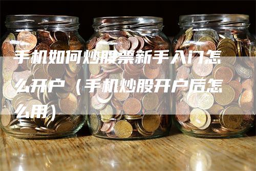 手机如何炒股票新手入门怎么开户(手机炒股开户后怎么用)