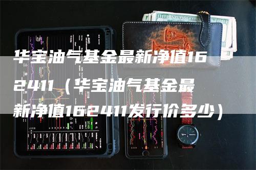 华宝油气基金最新净值162411(华宝油气基金最新净值162411发行价多少)