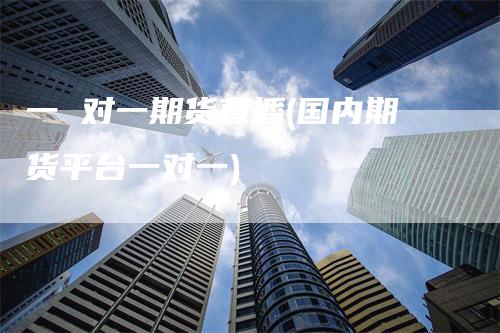 一 对一期货直播(国内期货平台一对一)