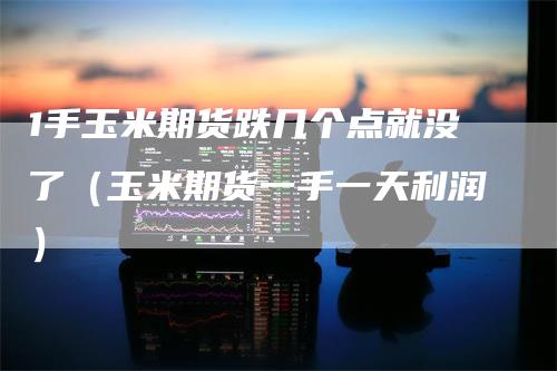 1手玉米期货跌几个点就没了（玉米期货一手一天利润）