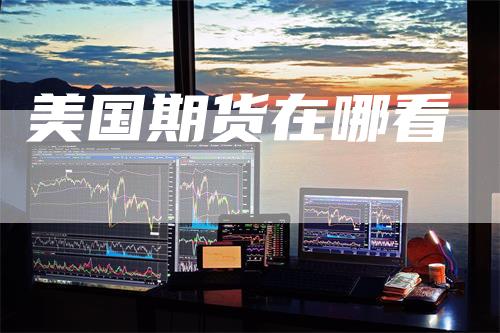 美国期货在哪看