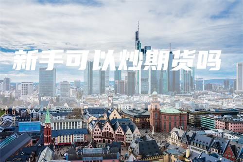 新手可以炒期货吗