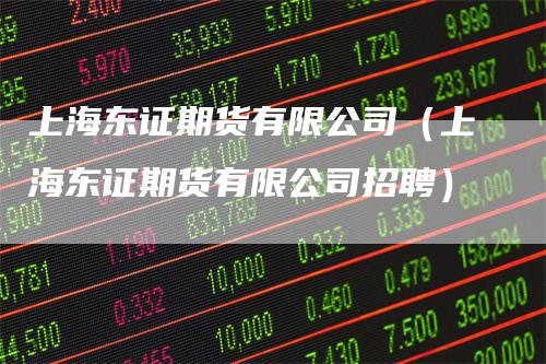 上海东证期货有限公司（上海东证期货有限公司招聘）