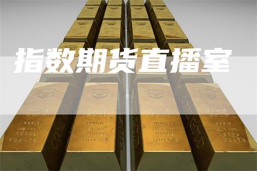 指数期货直播室