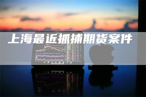 上海最近抓捕期货案件