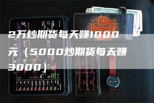 2万炒期货每天赚1000元(5000炒期货每天赚3000)