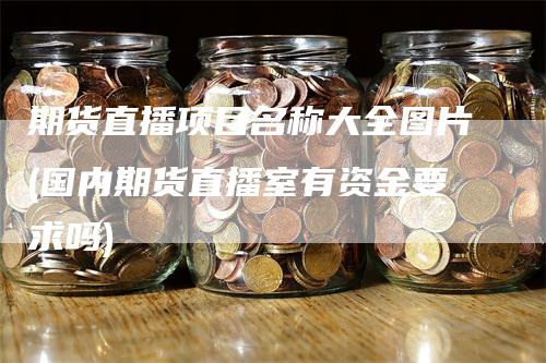 期货直播项目名称大全图片(国内期货直播室有资金要求吗)
