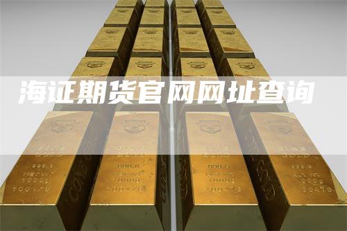 海证期货官网网址查询