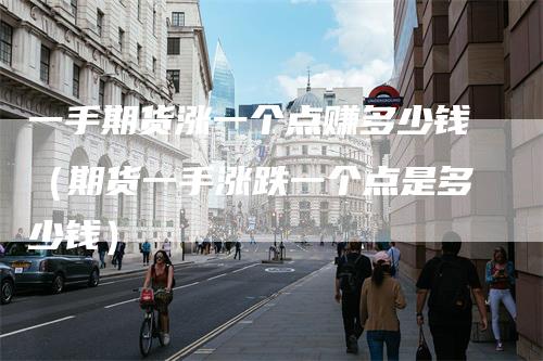 一手期货涨一个点赚多少钱(期货一手涨跌一个点是多少钱)