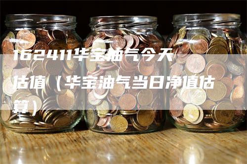 162411华宝油气今天估值(华宝油气当日净值估算)