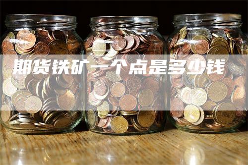 期货铁矿一个点是多少钱
